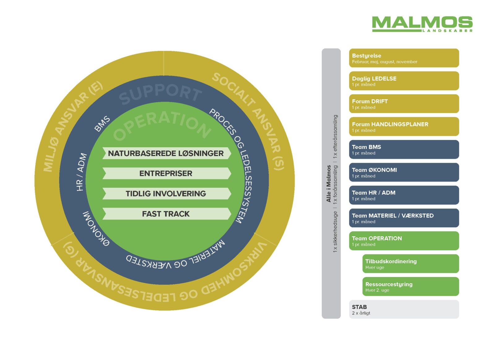 Organisation_Malmos ver.01