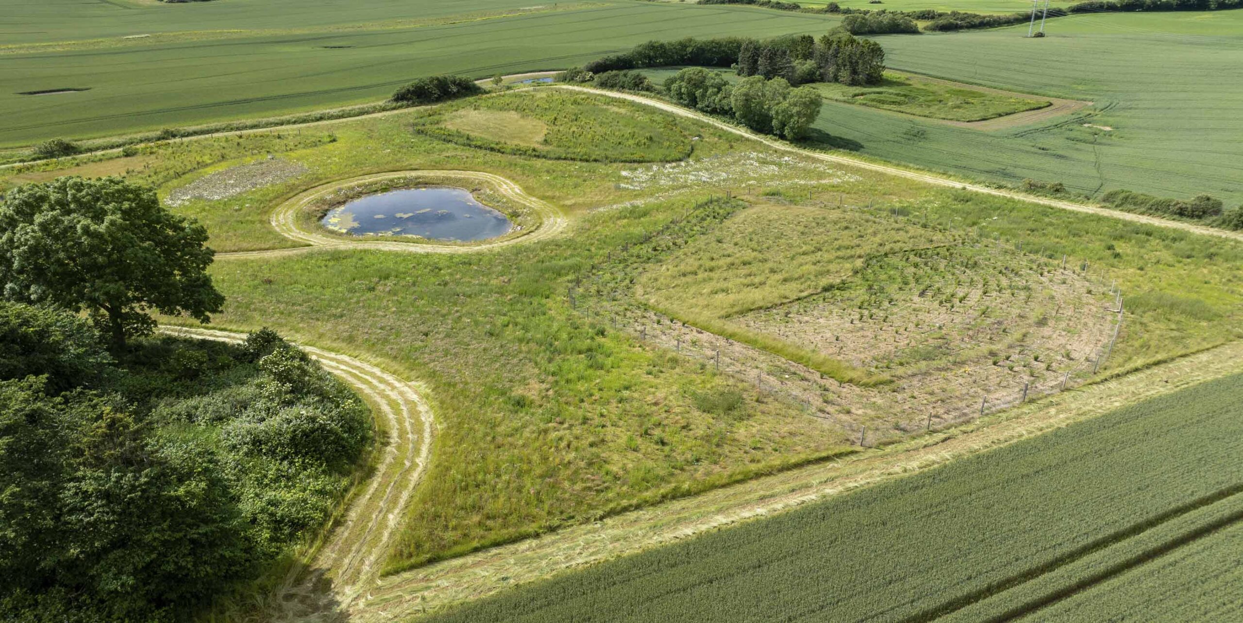 Luftfoto af naturområde med anlagt vandhul omgivet af blomstrende urtevegetation og nyplantede træer mellem dyrkede marker.
