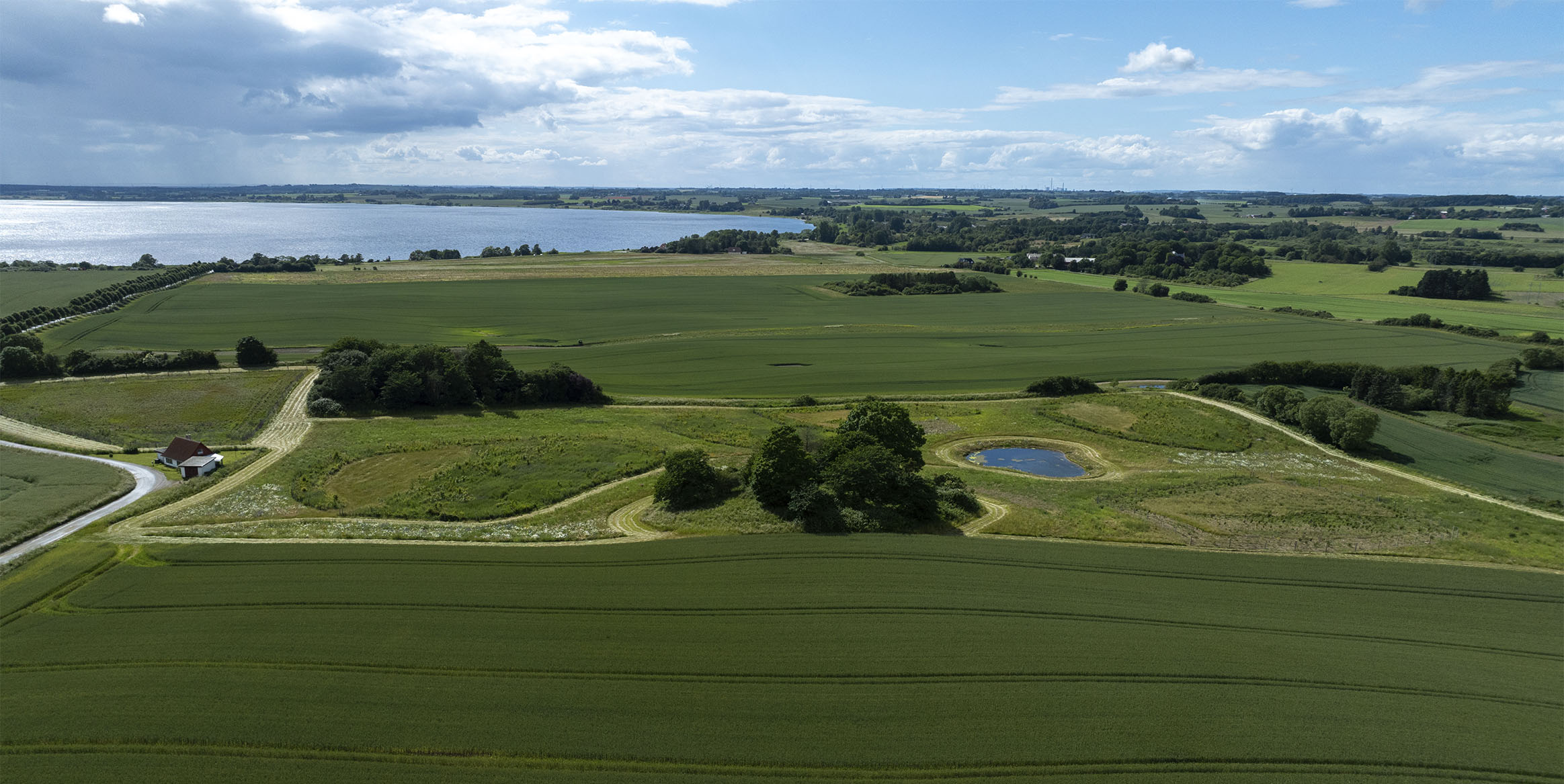 Luftfoto af landbrugslandskab med markpolygoner, vandhul og læhegn ned mod en fjord.