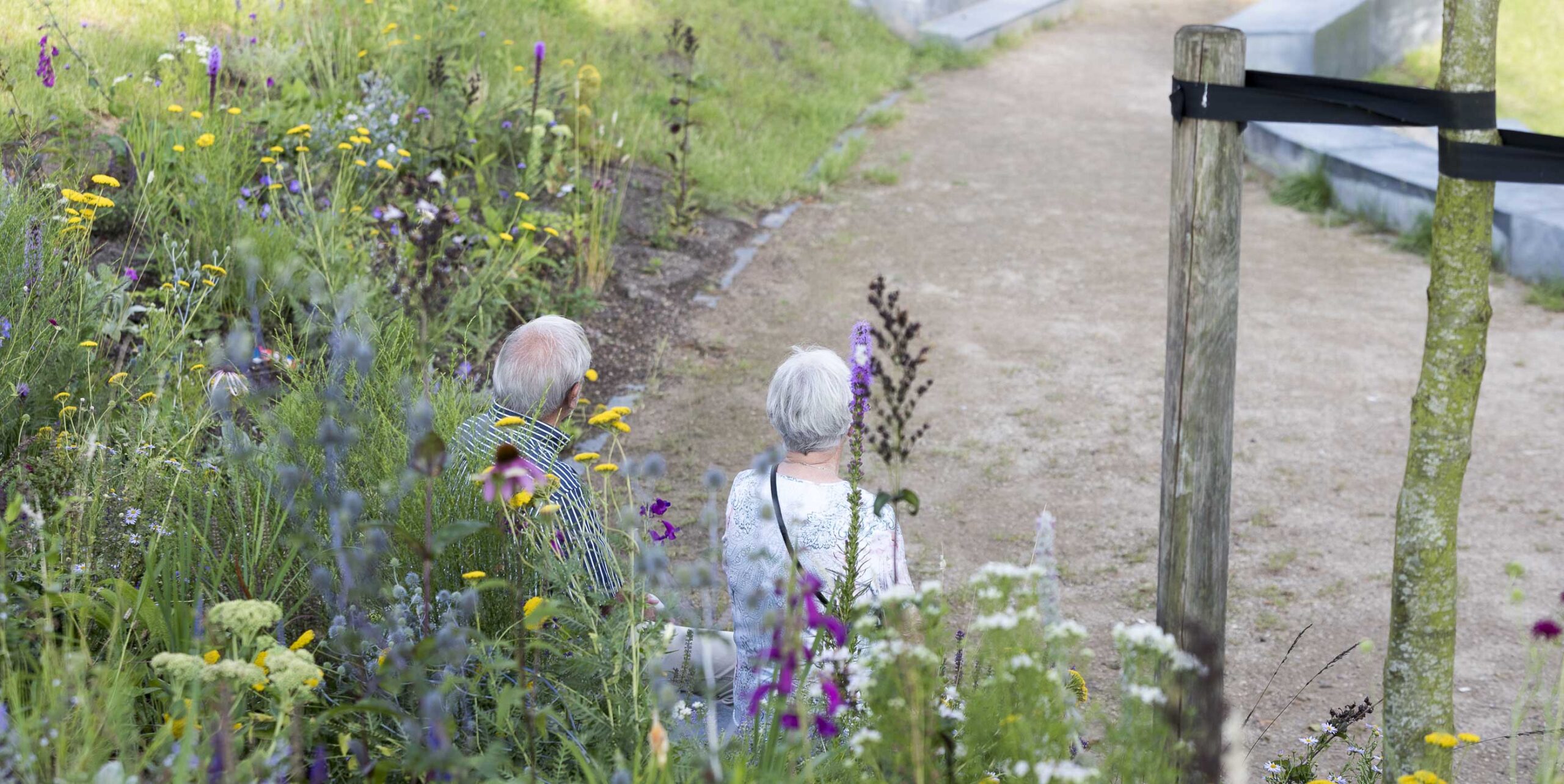 To besøgende går ad grussti forbi frodig staudebeplantning med vilde blomster på kirkegård.