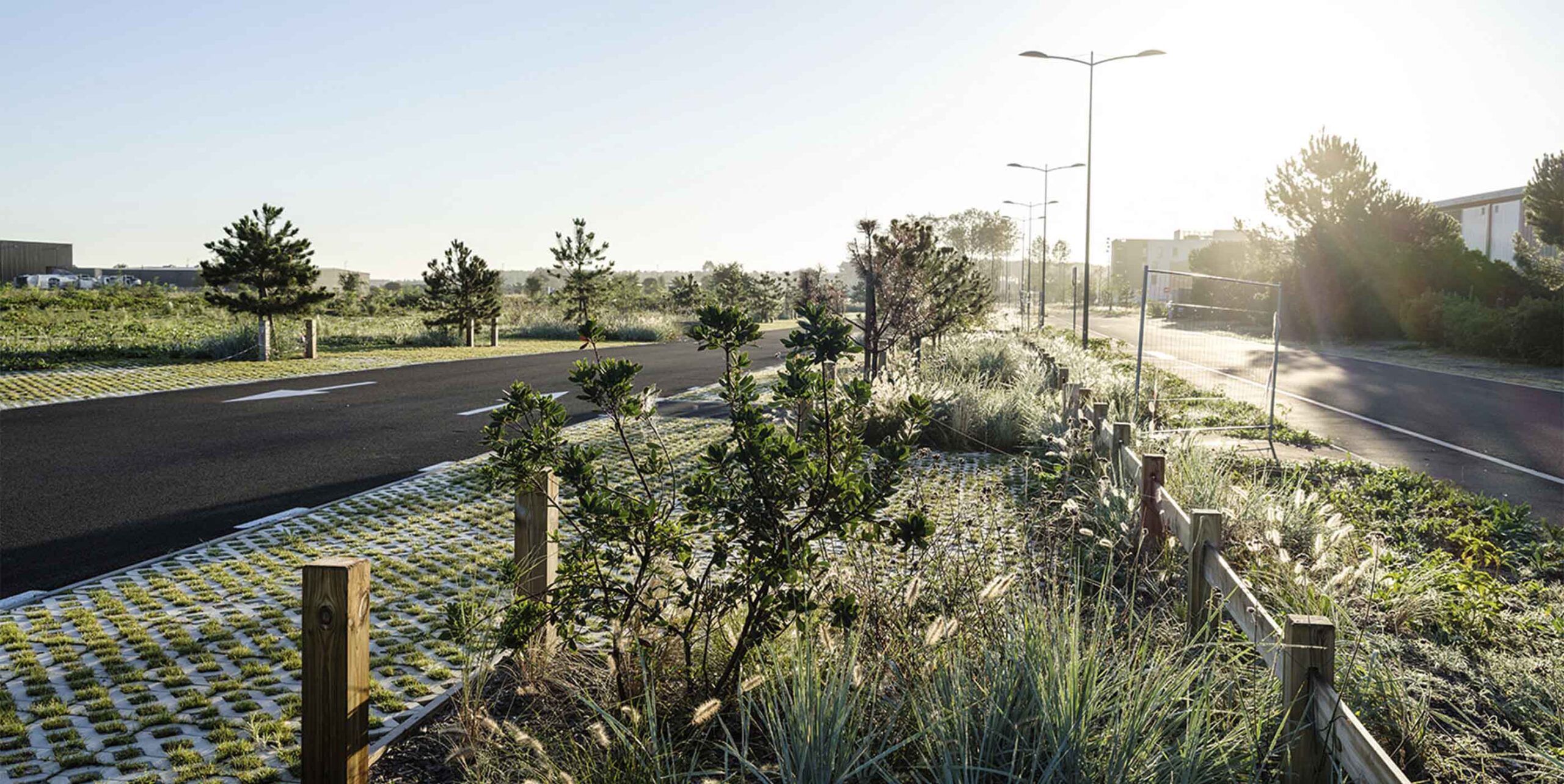 Nyanlagt vejbeplantning med græsarmerede belægningssten, buske og træer langs cykelsti.