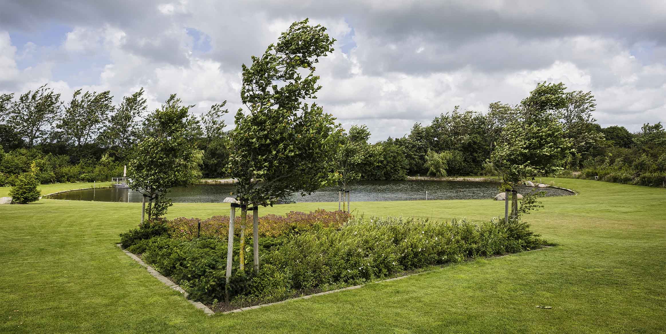Anlagt havedam omgivet af plæne, nyplantede træer og beplantningsbede.