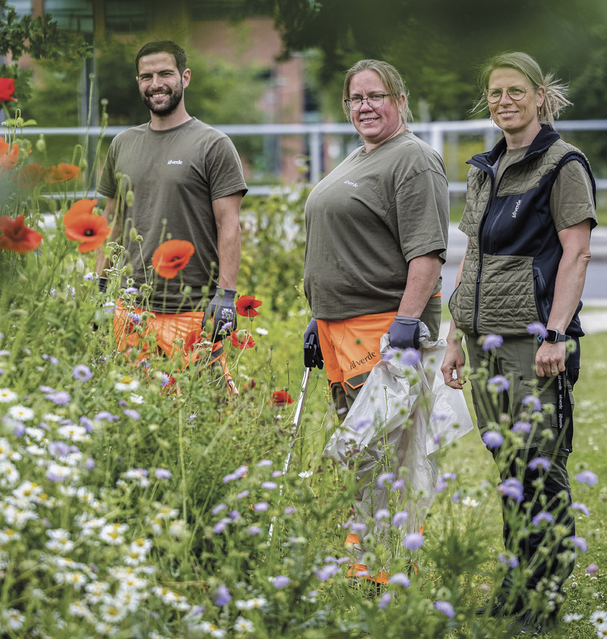 Tre idverde-medarbejdere i arbejdstøj står i en blomstrende eng med valmuer og kamille under pleje af grønt område.