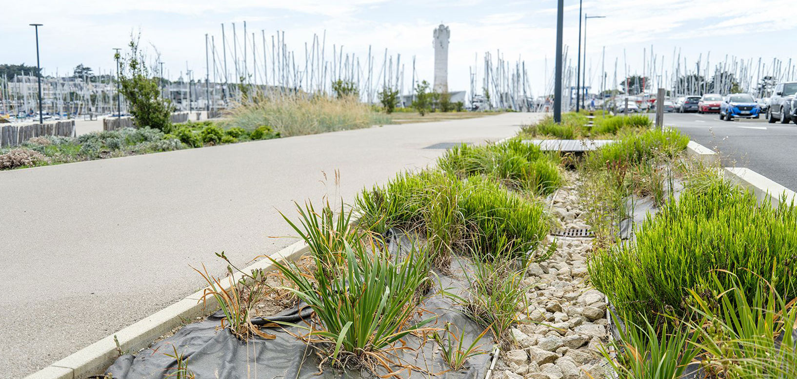 Regnbed med stenrende og stedsegrønne planter langs promenade ved lystbådehavn.