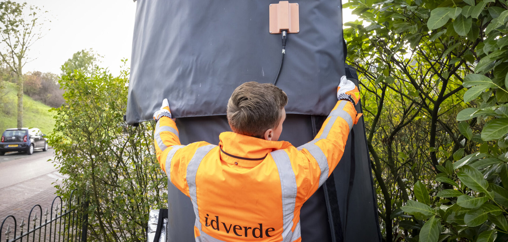 Medarbejder fra idverde justerer beskyttende afdækning omkring træstamme ved vejkant.