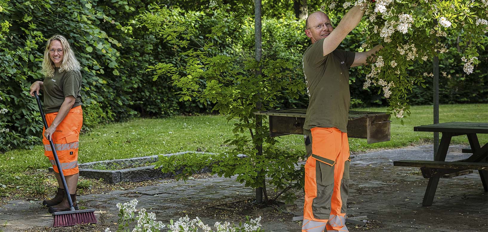 Medarbejdere i idverde-arbejdstøj fejer belægning og beskærer blomstrende klatreplante i grønt anlæg