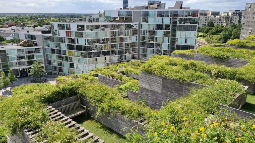 Grønt tagbeplantet område med bevoksede plantekummer og siddebænk på tagterrasse ved boligbebyggelse.