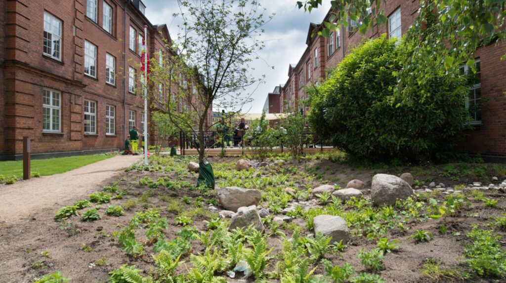Nyanlagt regnbed med sten og bunddækkeplanter i gårdmiljø mellem røde murstensbygninger