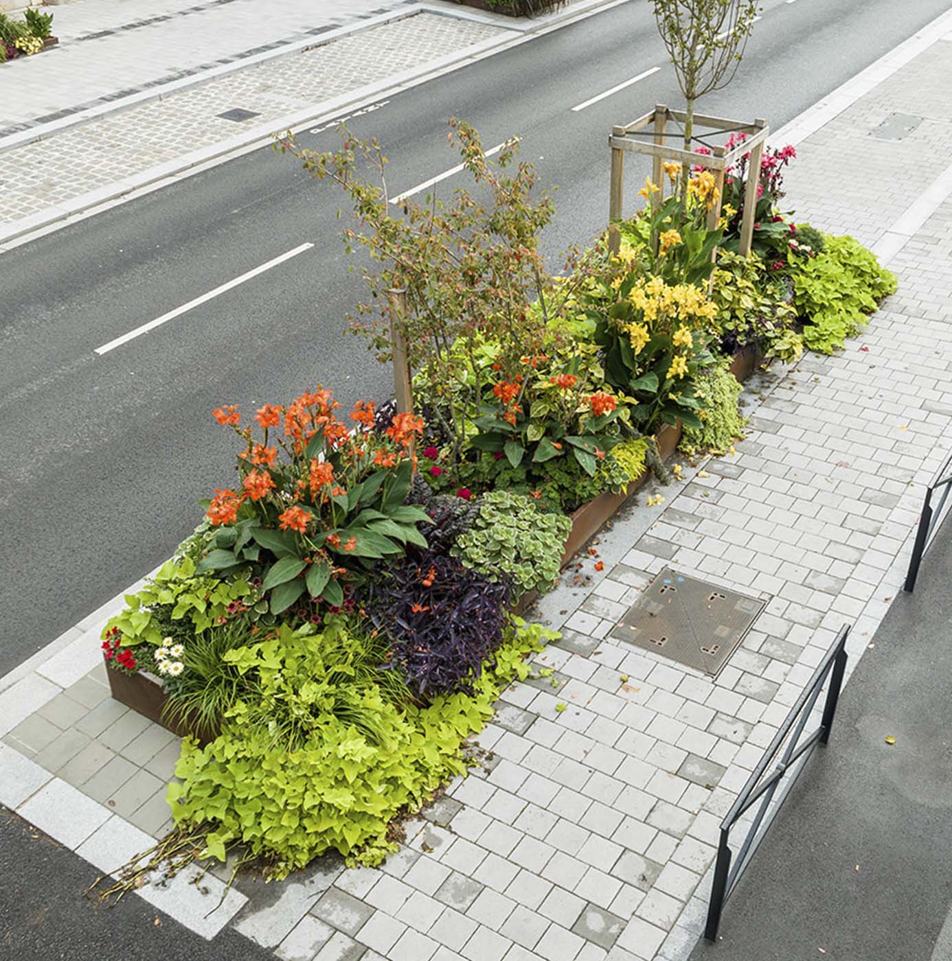 Aflangt plantebed med blomster og buske langs gadekant, fotograferet fra oven.