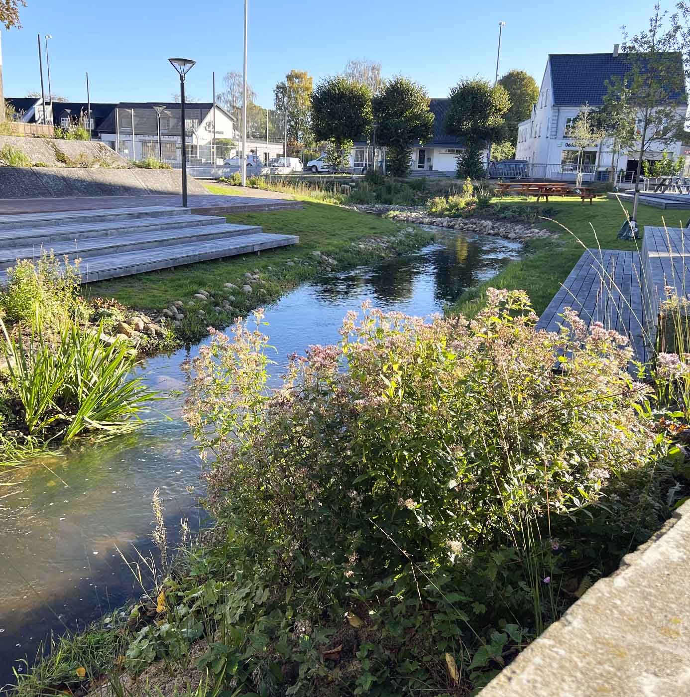 Åbent vandløb med bevoksede bredder og siddetrapper i byrum, omgivet af beplantning og bygninger.