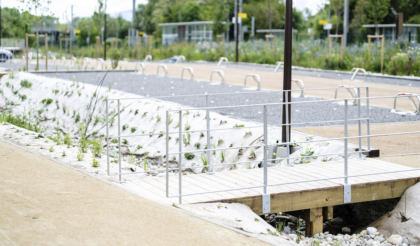 Træbro med metalgelænder krydser regnvandsgrøft med nyplantet beplantning i klimatilpasset anlæg.