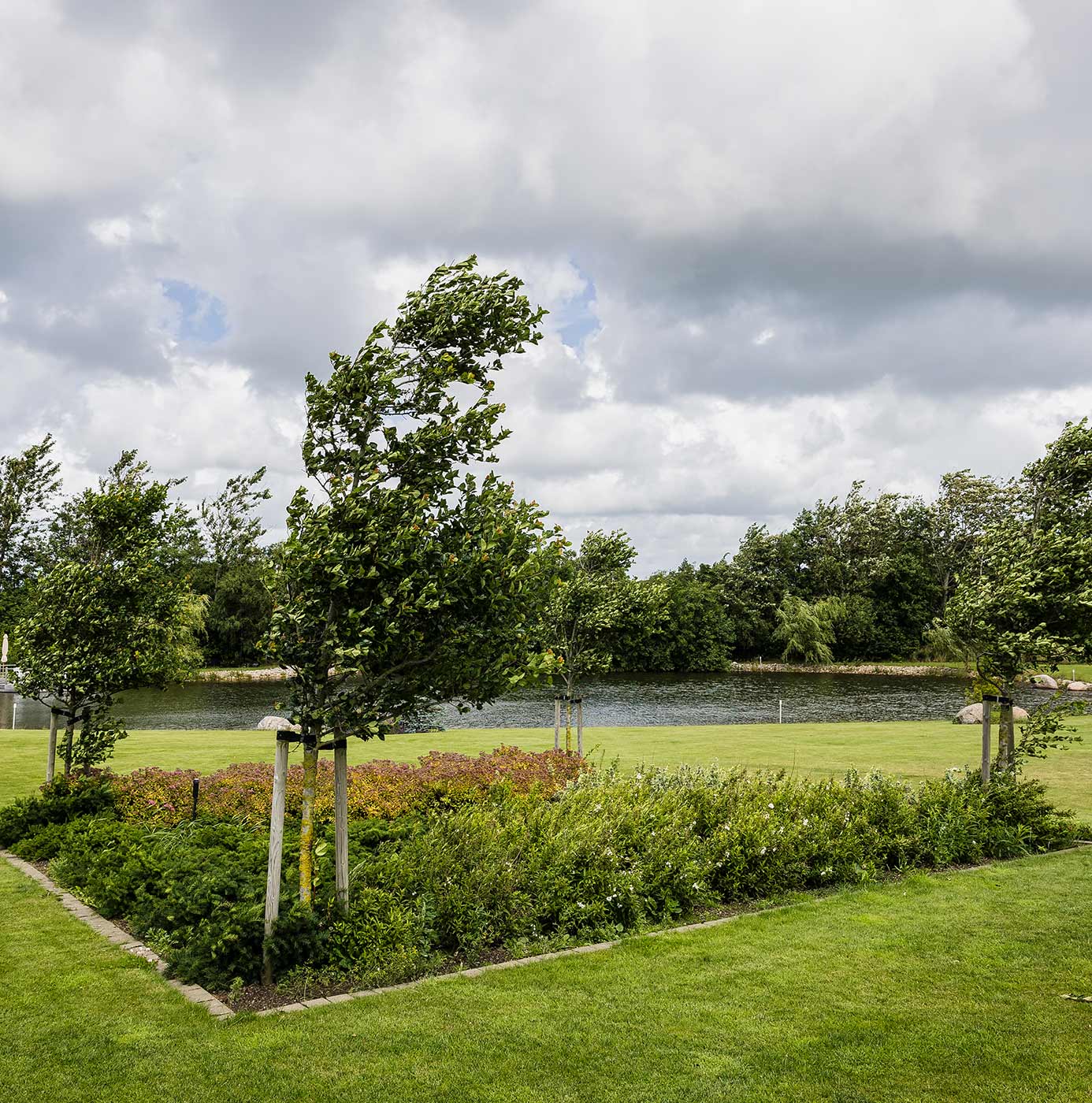 Nyplantede træer med støttepæle i bedplantning ved sø og græsplæne i parkanlæg.