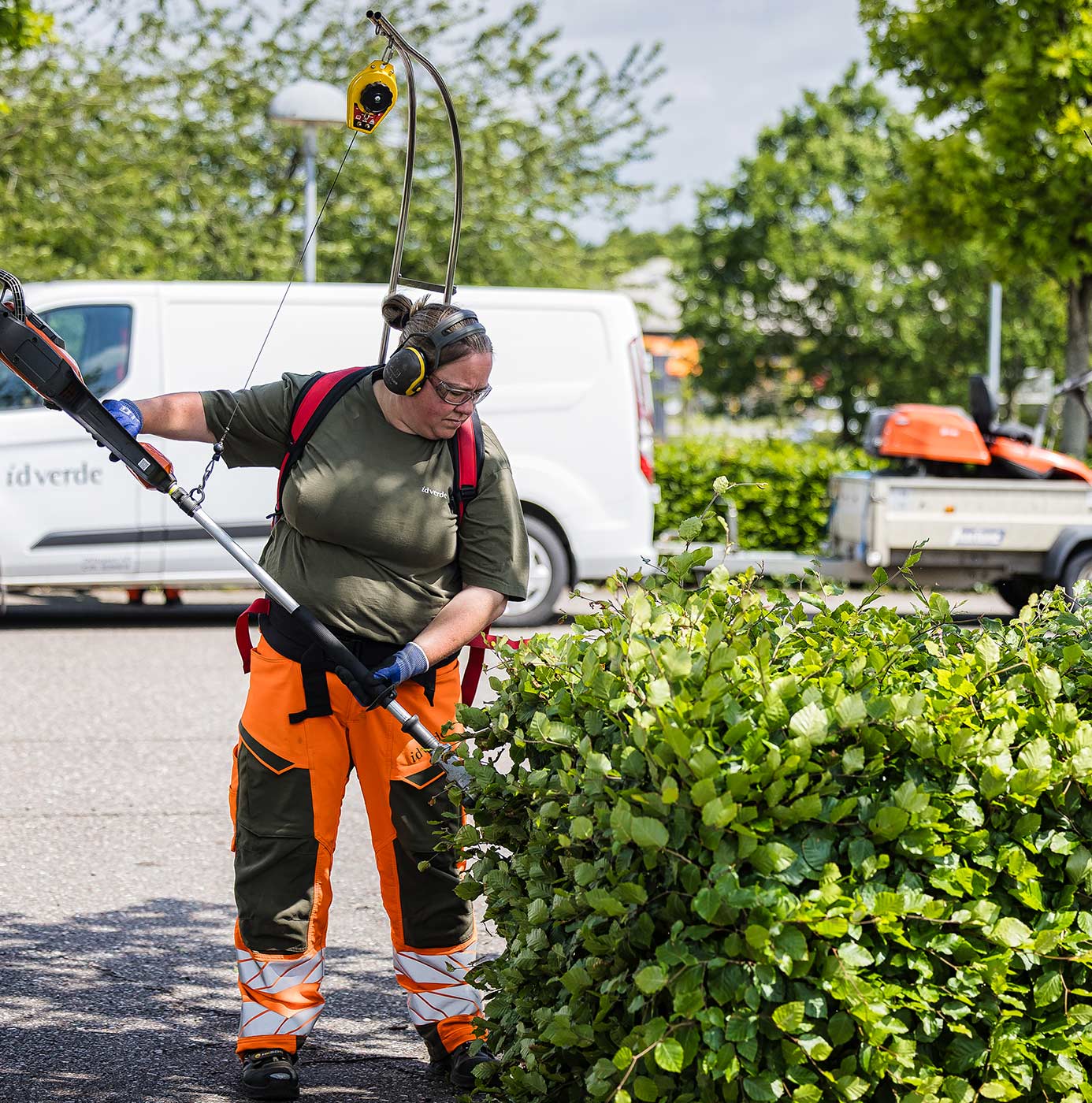Medarbejder klipper hæk med bærbar hækkeklipper i høringsværn og sikkerhedsudstyr