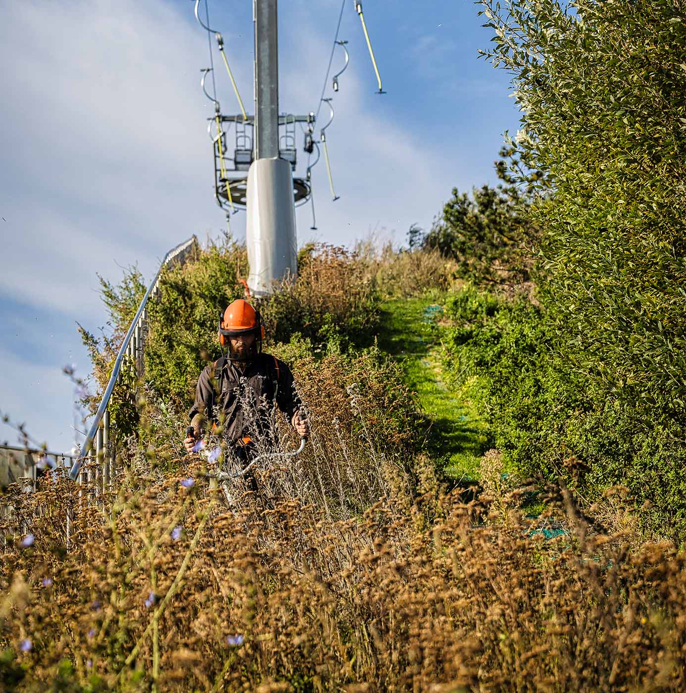 Medarbejder med sikkerhedshjelm rydder krat med buskrydder ved en skiliftmast.