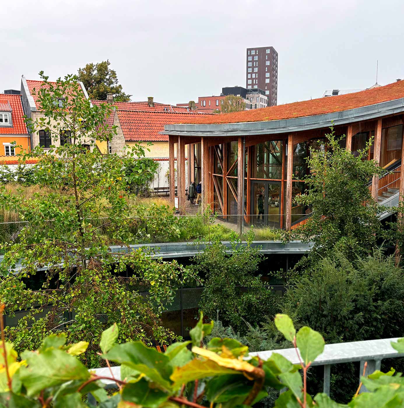 Grønt sedumtag og terrasseret beplantning på moderne bygning i bymiljø