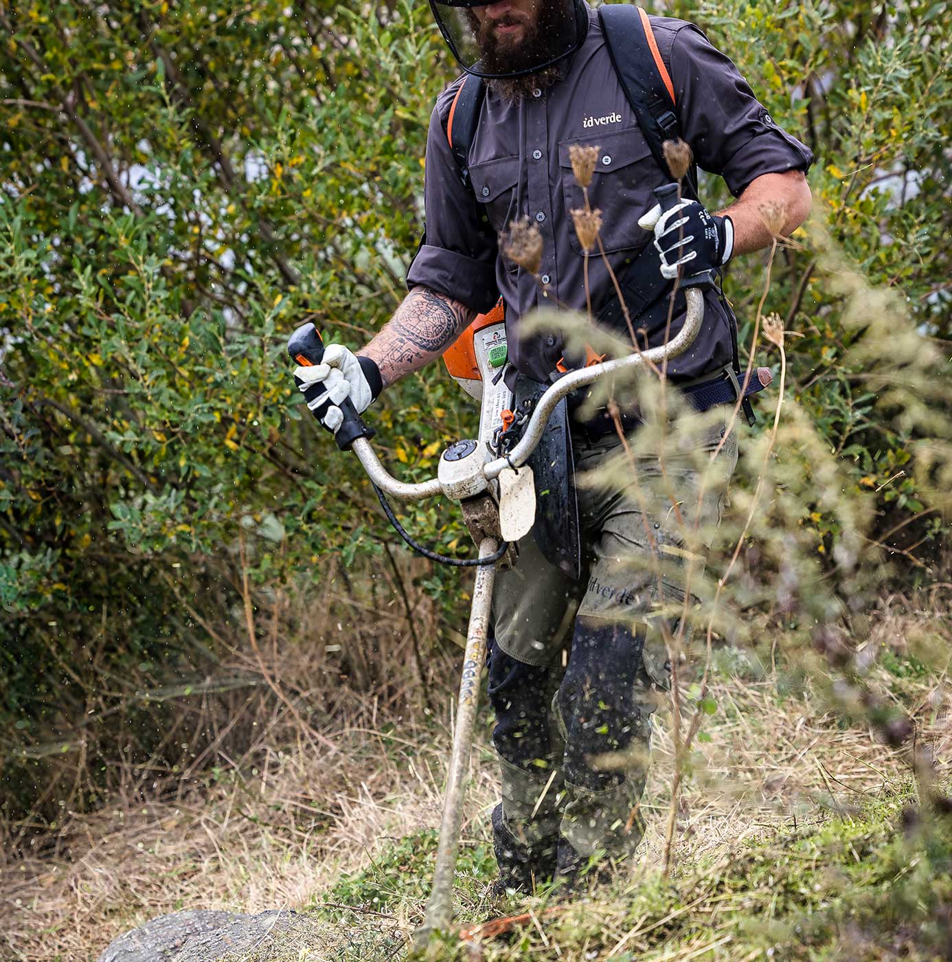 Medarbejder fra idverde slår vildtvoksende vegetation med kratrydder i beskyttelsesudstyr og handsker.
