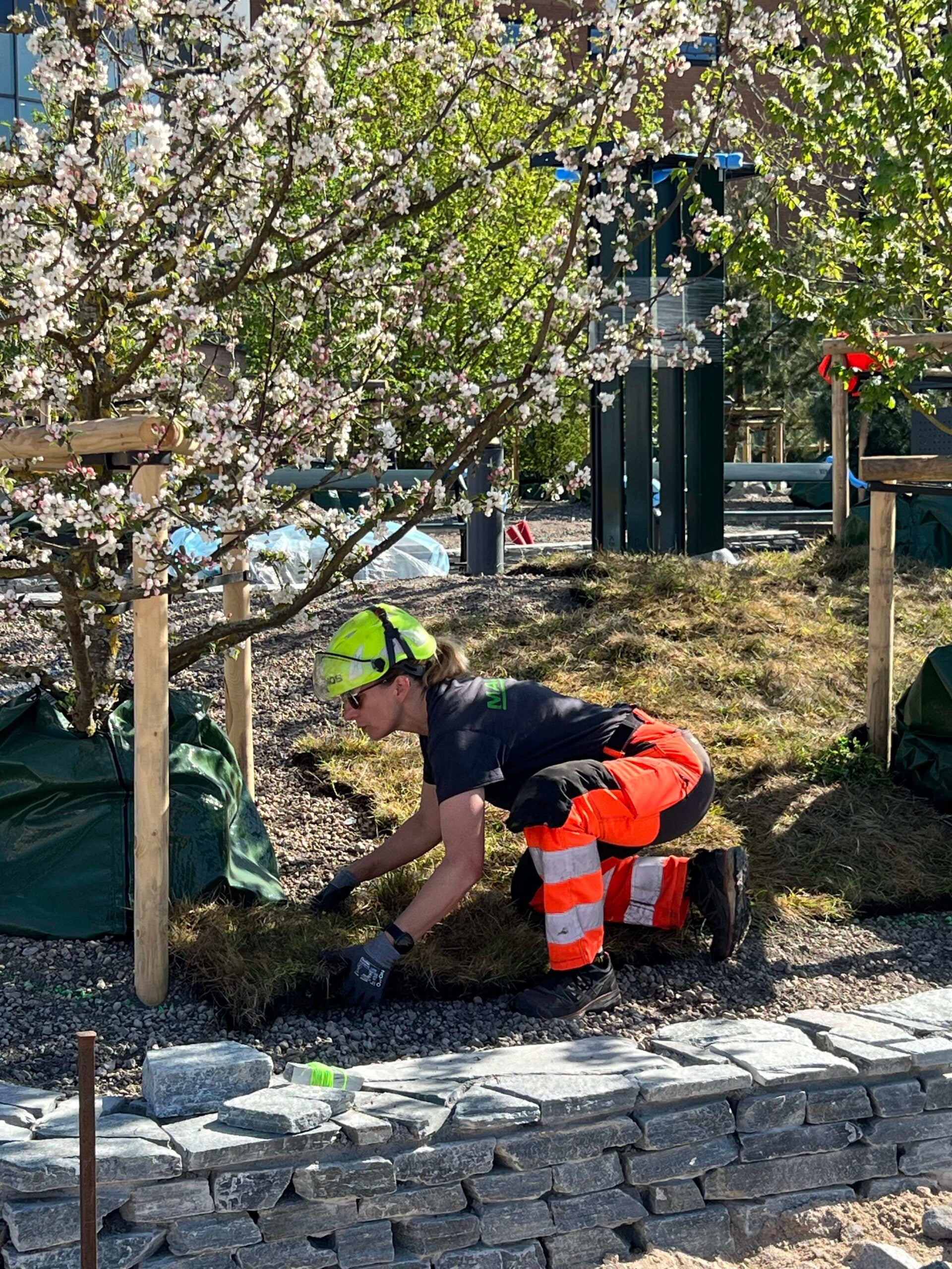 Multifunktionelt udeområde, der kombinerer grønne løsninger, aktivitet og ophold.